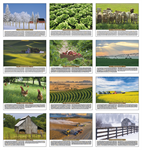 Scenic Almanac Calendar